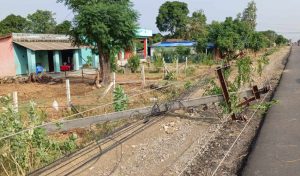 हावाहुरीले ६५ वटा विद्युतका पोलहरू भाँच्दा धनगढीका तीन हजार बढी ग्राहकहरू प्रभावित
