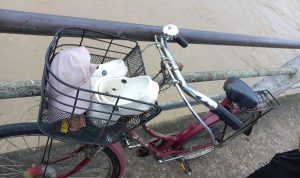 बाढी उर्लिएको नारायणीमा फाले एक पुरुषले हाम, साइकल पुलमै