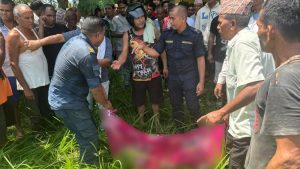 कञ्चनपुरमा बाघको आक्रमणबाट एक जना महिलाको मृत्यु