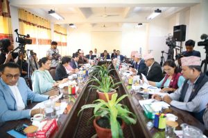 चेक बाउन्स मुद्दामा दोषी देखिए सजाय संगै जरिवाना पनी