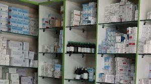 दशैँमा यात्रामा जादैँ हुनुहुन्छ साथमा लैजान नछुटाउनुहास यस्ता औषधि