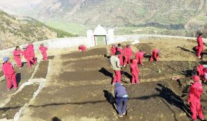 बाजुराका विद्यार्थीलाई विद्यालयमै तरकारी उत्पादन गर्न सिकाईंदै