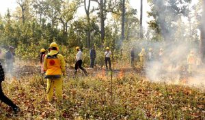 वन क्षेत्रमा डढेलो लाग्न नदिनका लागि वन कार्यालय जुटे तयारीमा