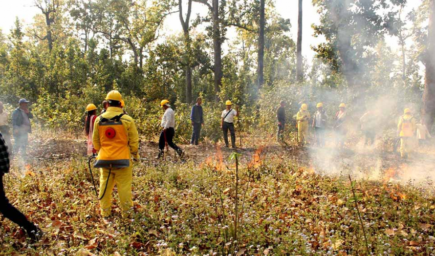 वन क्षेत्रमा डढेलो लाग्न नदिनका लागि वन कार्यालय जुटे तयारीमा