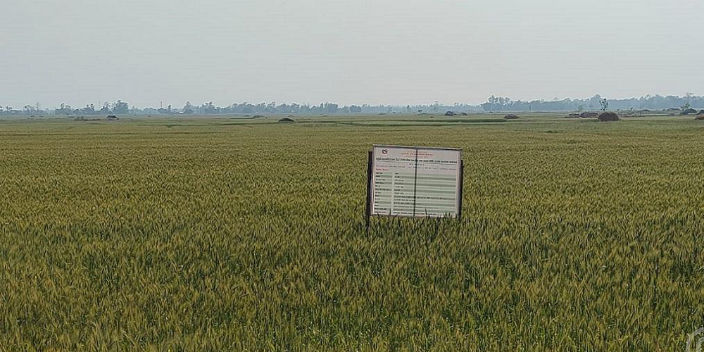 ‘सुपर जोन र जोन कार्यक्रम’ले उत्पादन बढायो