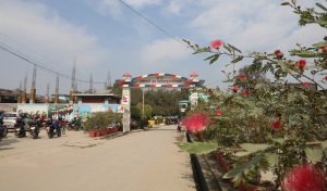 धनगढीका सामुदायिक विद्यालयको नतिजा सुधार, ४२ प्रतिशत विद्यार्थी उत्तीर्ण