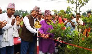 धनगढीका १२ वटा वडाहरूमा नापजाँच सकियो, पुर्जा वितरणमा समस्या