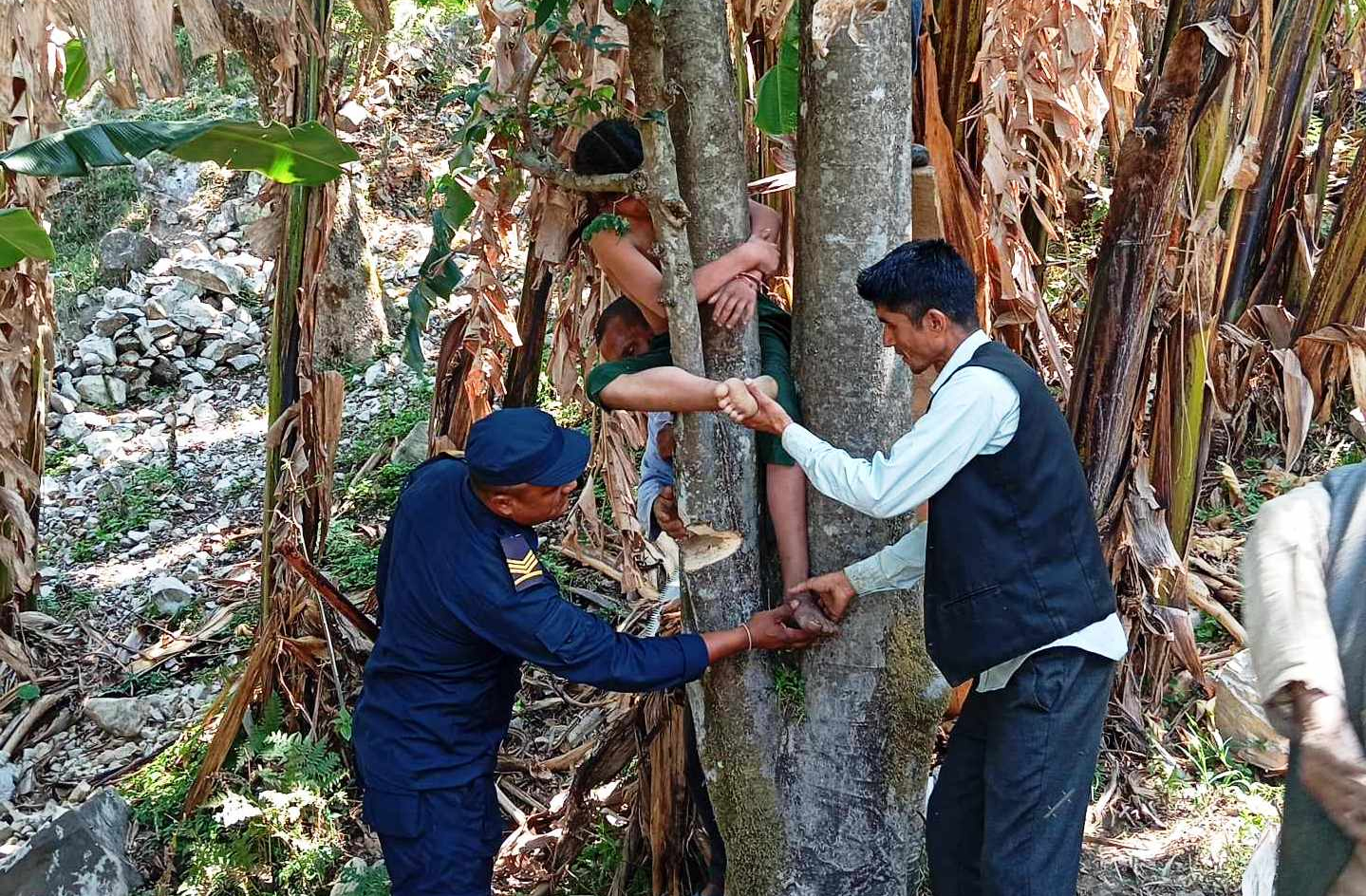 दार्चुलामा रूखको दुई हाँगाको बिचमा अड्किएकी बालिकाको उद्दार