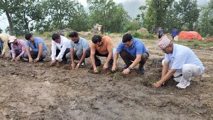 गोदावरीको सेल्फीडाँडालाई पर्यटकीयस्थलको रुपमा विकास गरिदै, यस बर्ष पनि हजारौ बोटबिरुवा रोपिए