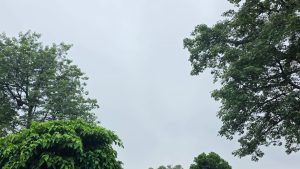 गण्डकी, कर्णाली र सुदूरपश्चिममा भारी वर्षा हुने