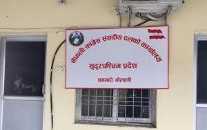कांग्रेसले भन्यो– देउवा दम्पतीमाथिको आक्रमण निन्दनीय, दोषीलाई कारबाहीको माग