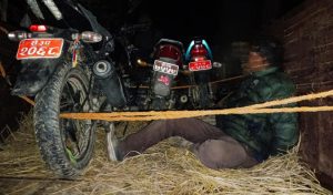 कैलालीमा काठ तस्करीमा संलग्न एक जना पक्राउ, चार मोटरसाइकल बरामद