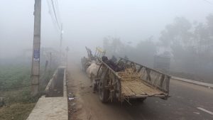 सरदरभन्दा ९ डिग्रीले घट्यो धनगढी र नेपालगन्जको तापक्रम, जनजीवन प्रभावित