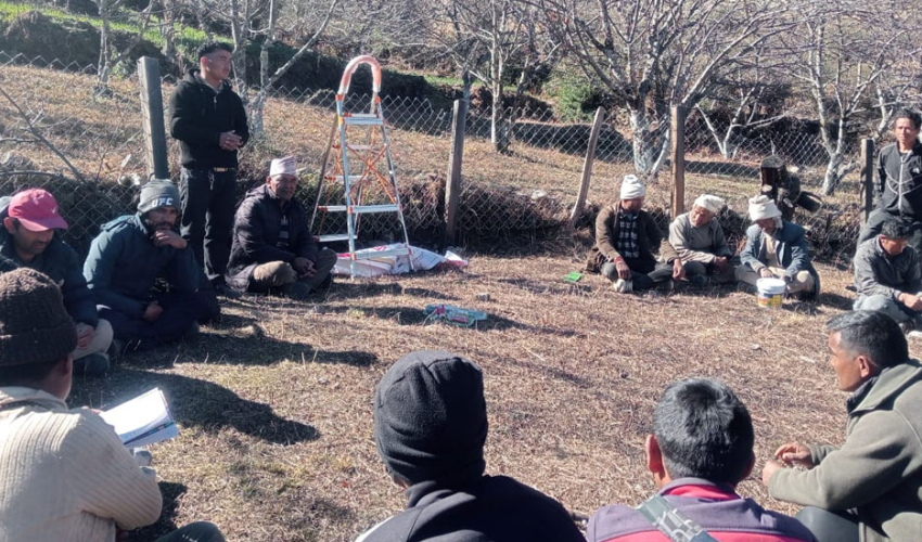 बाजुरामा स्याउ बगैँचा सुदृढीकरण कार्यक्रम सञ्चालन