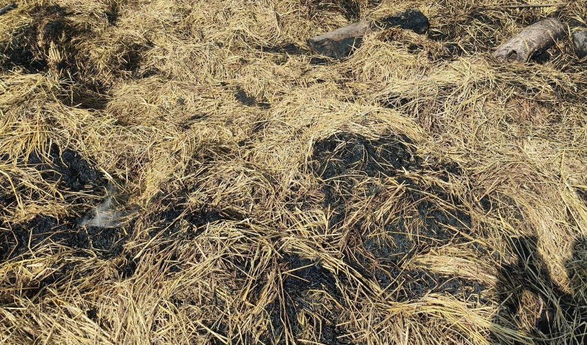 कैलालीको बर्दगोरियामा अज्ञात समूहद्वारा परालका टौवामा आगजनी