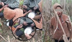 धनगढीका युवायुवती भारतको पलियामा लागूऔषध सेवन गर्न जाने गरेको खुलासा