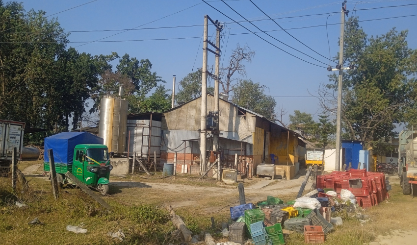 अत्तरियाको दुग्ध विकास कार्यालय अब धनगढीबाट सञ्चालन