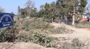 अत्तरियामा सेभ हाउसले महायज्ञ आयोजना गर्ने