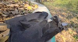 प्लाष्टिक प्रतिबन्धपछि बजारमा आएको ‘विकल्प’ झोलाः धनगढीमा स्वास्थ्य जोखिमको संकेत, अनुगमन शून्य