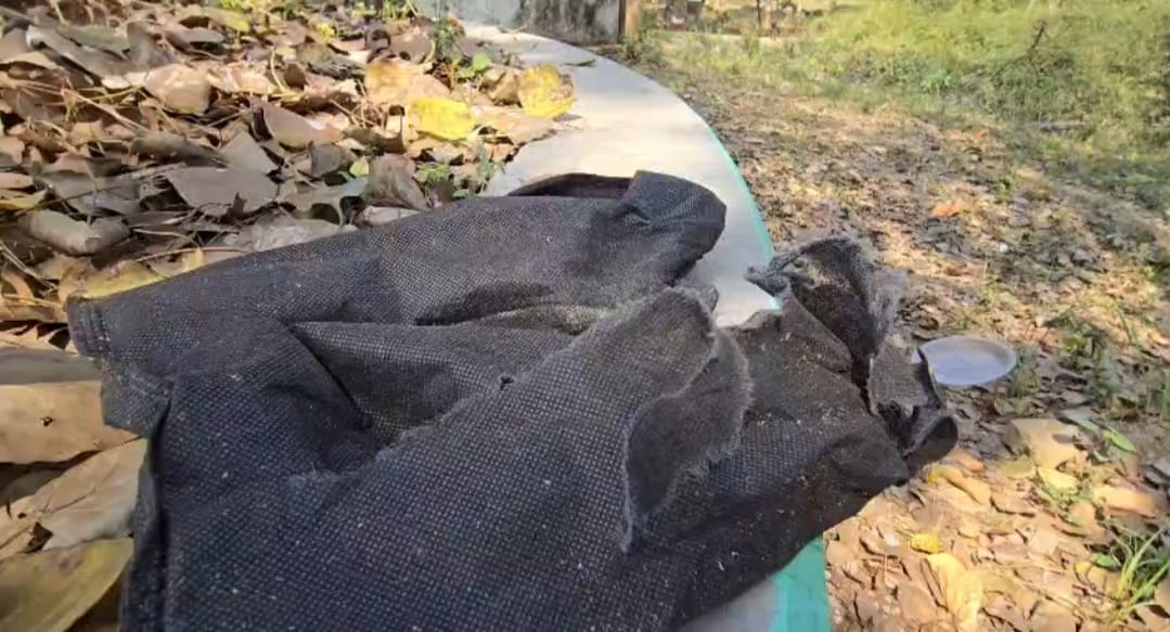 प्लाष्टिक प्रतिबन्धपछि बजारमा आएको ‘विकल्प’ झोलाः धनगढीमा स्वास्थ्य जोखिमको संकेत, अनुगमन शून्य