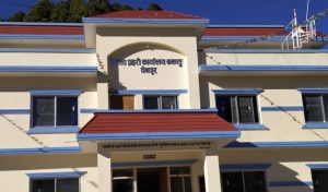 बझाङमा ड्युटीमा जाँदै गरेका प्रहरी हवल्दार बार्दलीबाट लडेर गम्भीर घाइते