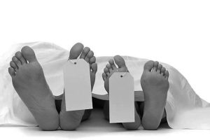 कैलालीमा ट्रकले गोरुगडालाई ठक्कर दिदा श्रीमान-श्रीमतीको मृत्यु