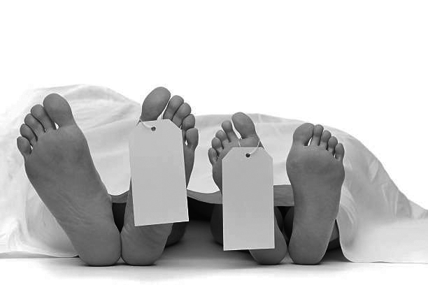 कैलालीमा ट्रकले गोरुगडालाई ठक्कर दिदा श्रीमान-श्रीमतीको मृत्यु