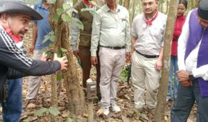 शुक्लाफाँटा–लालझाडी क्षेत्रमा बाघ गणनाको क्यामेरा चोरी, मेमोरी कार्डसमेत गायब