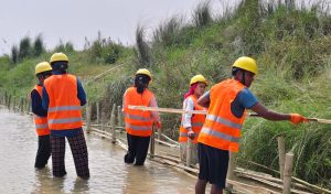 नदी कटान रोक्न जैविक तटबन्ध
