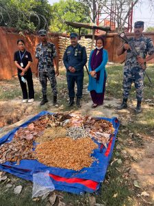 त्रिनगर–गौरीफन्टा नाकामा सशस्त्र प्रहरीको कडाइ : वैशाख १५ सम्म २३ लाख बराबरको अवैध सामान बरामद