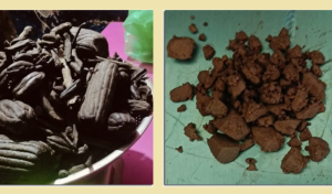 धनगढीका एक युवक चरेश र लागूऔषधसहित पक्राउ