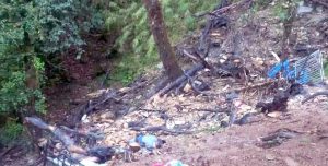 रोल्पा दुर्घटनामा सरकारले जनायो दुख ,सडक सुरक्षा सुधार्ने प्रतिबद्धता