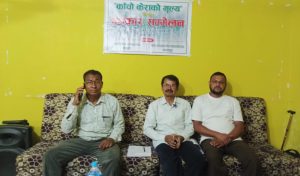 ७२ हजार टन केरा उत्पादन, तर किसानको पसिना सस्तो!